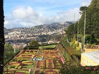 IMG 5025  Madeira Botanical Garden