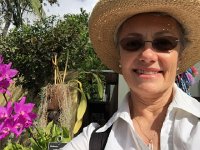 IMG 5027  Madeira Botanical Garden