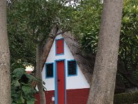 IMG 5033  Madeira Botanical Garden