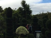 IMG 5034  Madeira Botanical Garden