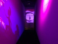 IMG 0266  silhouettes