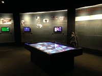 IMG 0268  quite an interactive display for which I did not have time