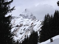 IMG 0195  Cime de l&#39;Est