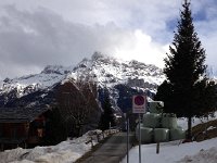 IMG 0196  back at Mex for socializing