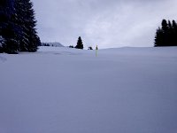 IMG 0384  20 Jan - new untracked snow