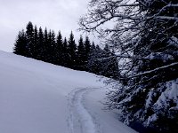 IMG 0386  skin track up Piste du Diable