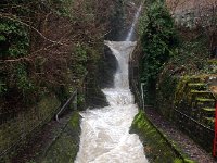 IMG 0390  22 Jan -more rain!