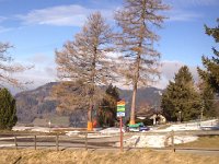 IMG 0477  31 Jan - reconnaissance- snow free at H de Caux