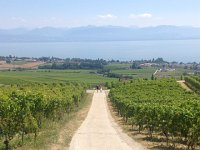 IMG 2595  from site 2 (BnB by a chef)