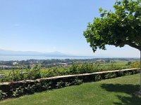 IMG 9019  view across lake on this warm day