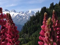 IMG 2663  Mont Blanc