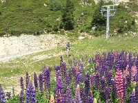 IMG 5665  time to go