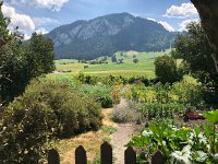 IMG 9195  a beautiful garden along the path