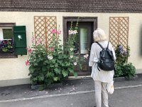 IMG 9224  with Robin