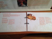 IMG 2736  and info about human use of the valley for pasture and barley