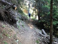 IMG 2753  on the trail