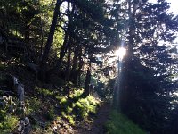 IMG 2755  relentlessly up it felt to me