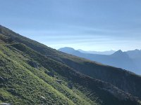 IMG 9258  soon above the trees