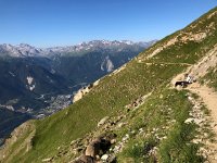 IMG 9262  herd with shepherd and dog