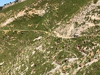 IMG 9265  exploring the hillside