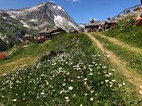 IMG 9279  lots of day visitors