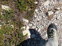 IMG E9266  what we generally saw