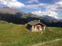 IMG 2804  chapel in the weeds