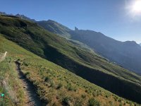 IMG 9282  another herd of sheep approaches