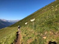 IMG 9284  make a lot of noise