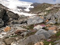 IMG 2816  contoured rock