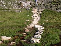 IMG 2817  rocks in a row