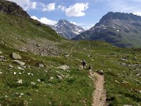 IMG 2819  la Grande Motte in the distance