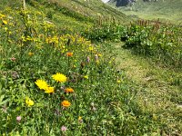 IMG 9312  down toward Entre Deux Eaux