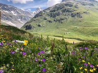 IMG 9314  the hut is just across the way