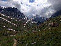 IMG 2846  I went out for a walk in the afternoon