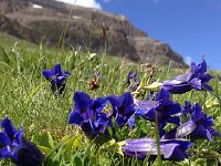 IMG 2848  up close and personal with flowers