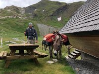 IMG 9325  Dad and Donkey