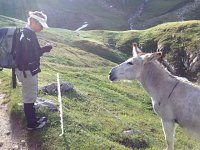 IMG 2854  whatchyagot?