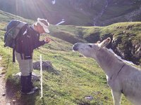 IMG 2856  but only if I don&#39;t have to move my hooves