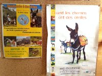 IMG 2873  and donkey rentals