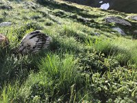 IMG 9331  A storm in the night left water droplets on everything