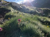 IMG 9332  but the sky was clean