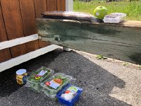 IMG 9337  food we bought in Tignes for lunch and onward: cubed cheese, greens, mushrooms, apple, bread and dried bananas