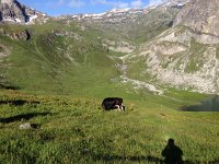 IMG 2883  there is a hut down there: a huge alpine bowl