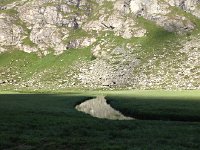 IMG 2890  a non-eroded stream bank