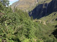 IMG 2896  a steep descent through wet vegetation
