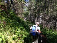 IMG 2897  then the forest