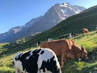 IMG 9349  a little munching