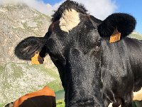 IMG 9350  some interrogation