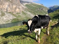 IMG 9351  let us by please